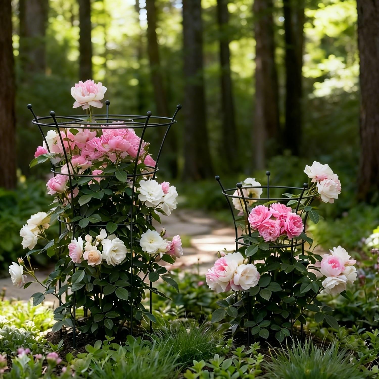 Peony Cages and Supports 2 Pack, Heavy Duty Metal Flower Support Cage, 24"(W) x 36" (H) Trumpet Plant Support for
