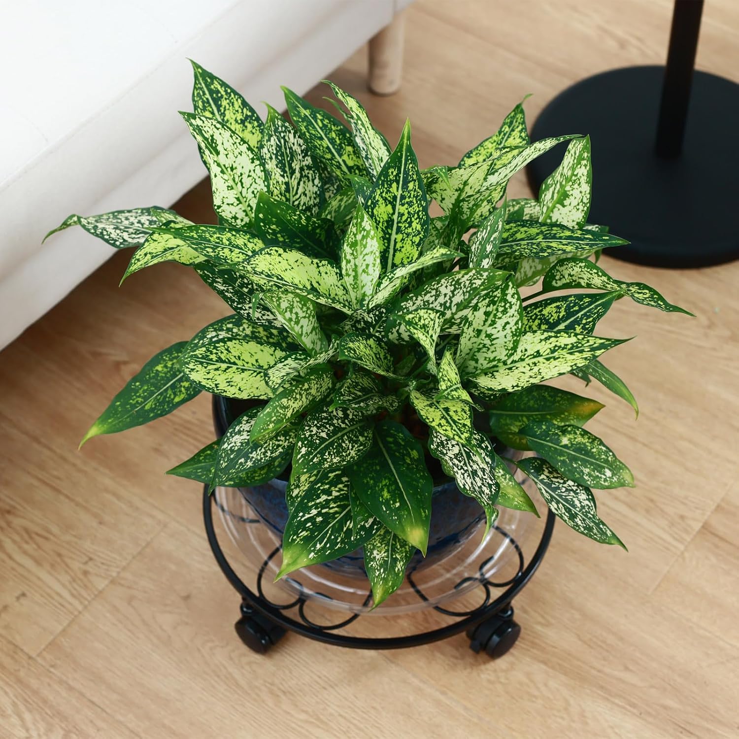 5 Packs 13 inches Large Metal Plant Caddy with Wheels Round Planter Dolly Pot Mover Rollers Wrought Iron Rolling Plant