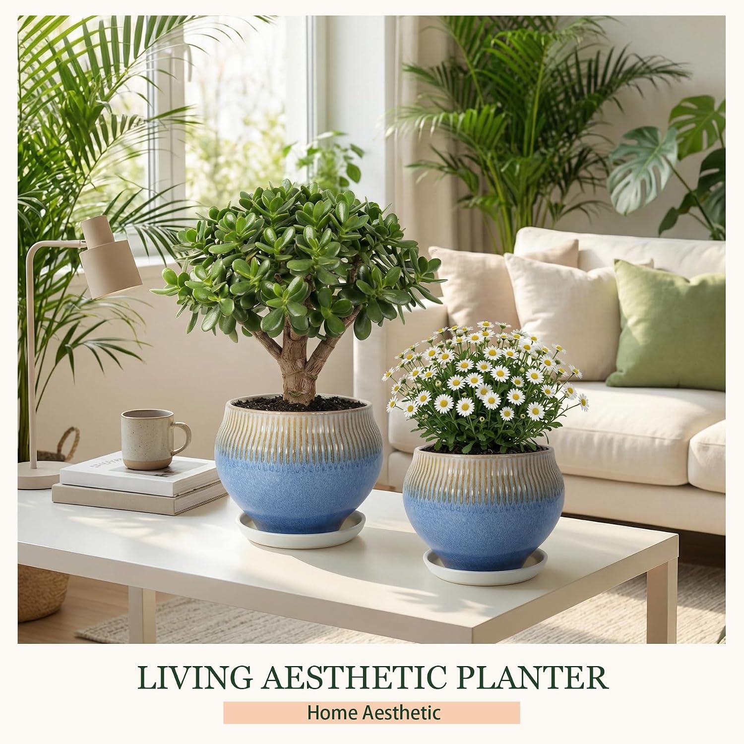 8.3 Inch Modern Ceramic Plant Pot with Drainage Hole and Mesh Net, Indoor Outdoor Planter with Saucer & Gardening