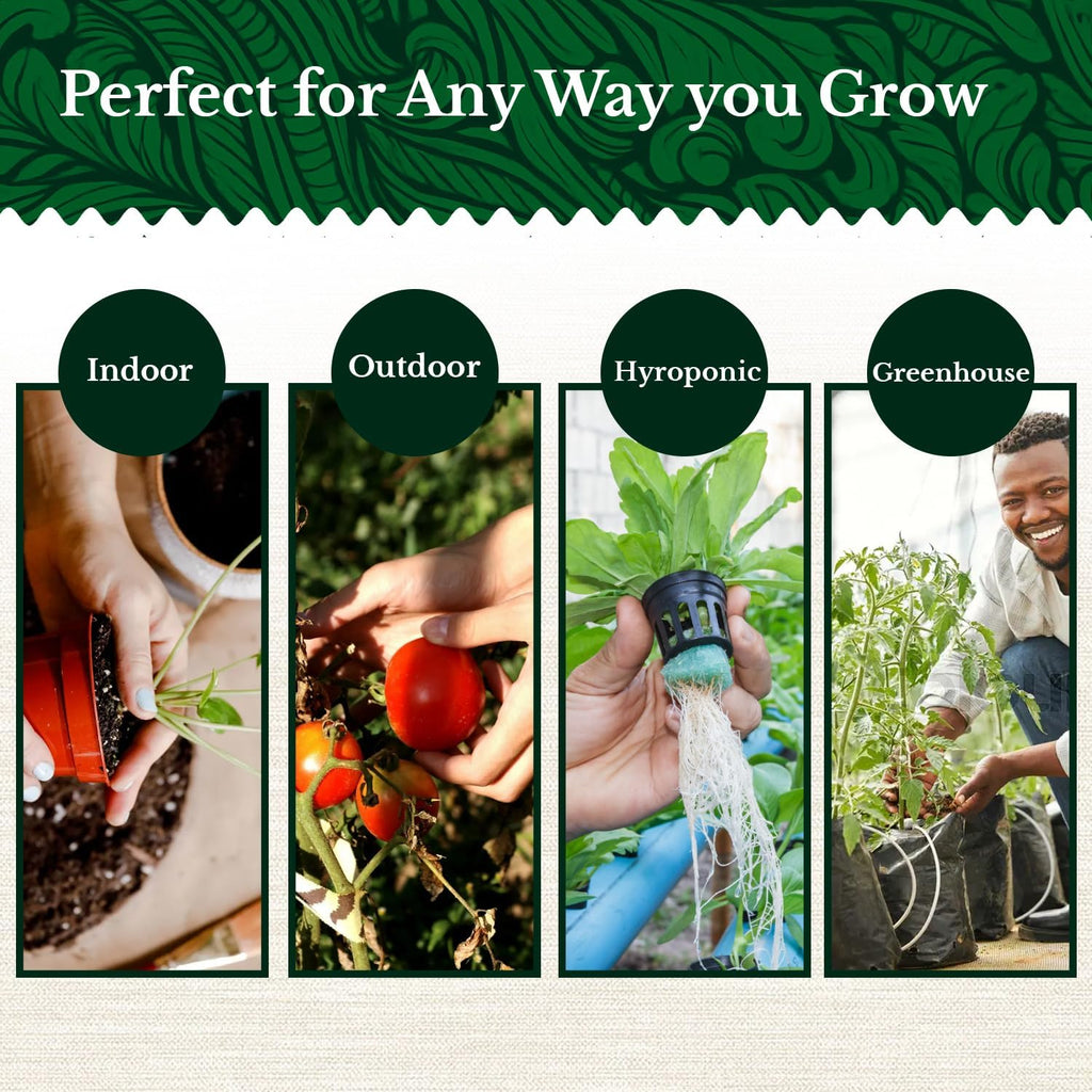 20 HERB Seeds Variety Pack - Complete Grow Kit Culinary Herbs Indoor Outdoors Herb Seeds, Basil, Oregano, Mint, Thyme &