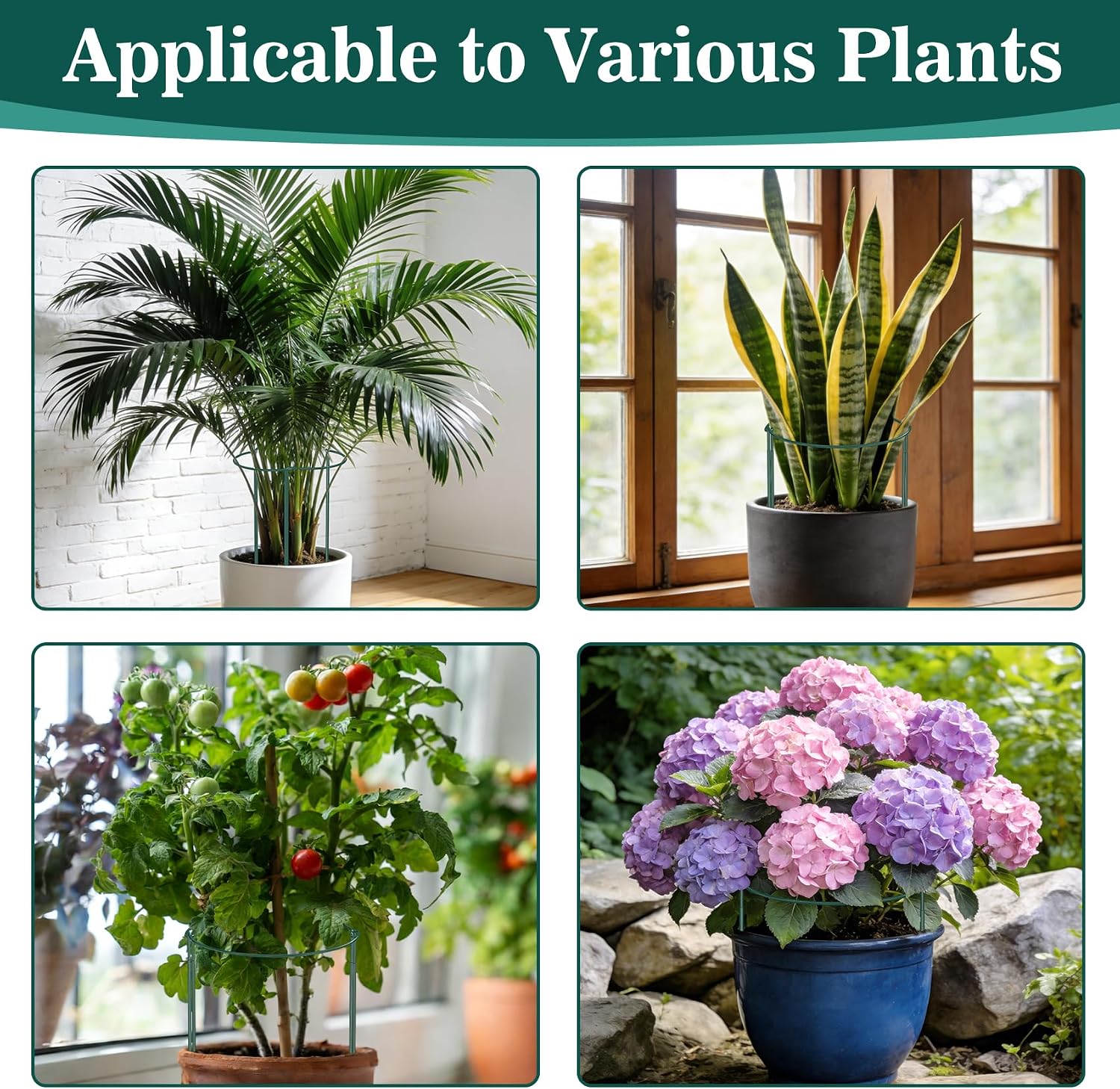 Unves 10 Pack Peony Cages and Supports, 13" W x 32" H Plant Support Stakes | Metal Peony Cage, Heavy-Duty Half Round