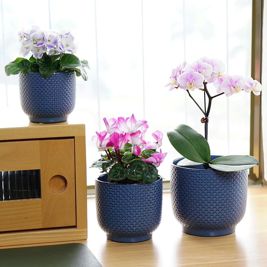 4 + 5 + 6 Inch Ceramic Pots for Indoor Plants, Succulents Plant Pots, Orchid Flower Pot with Drainage Hole, Modern Clay