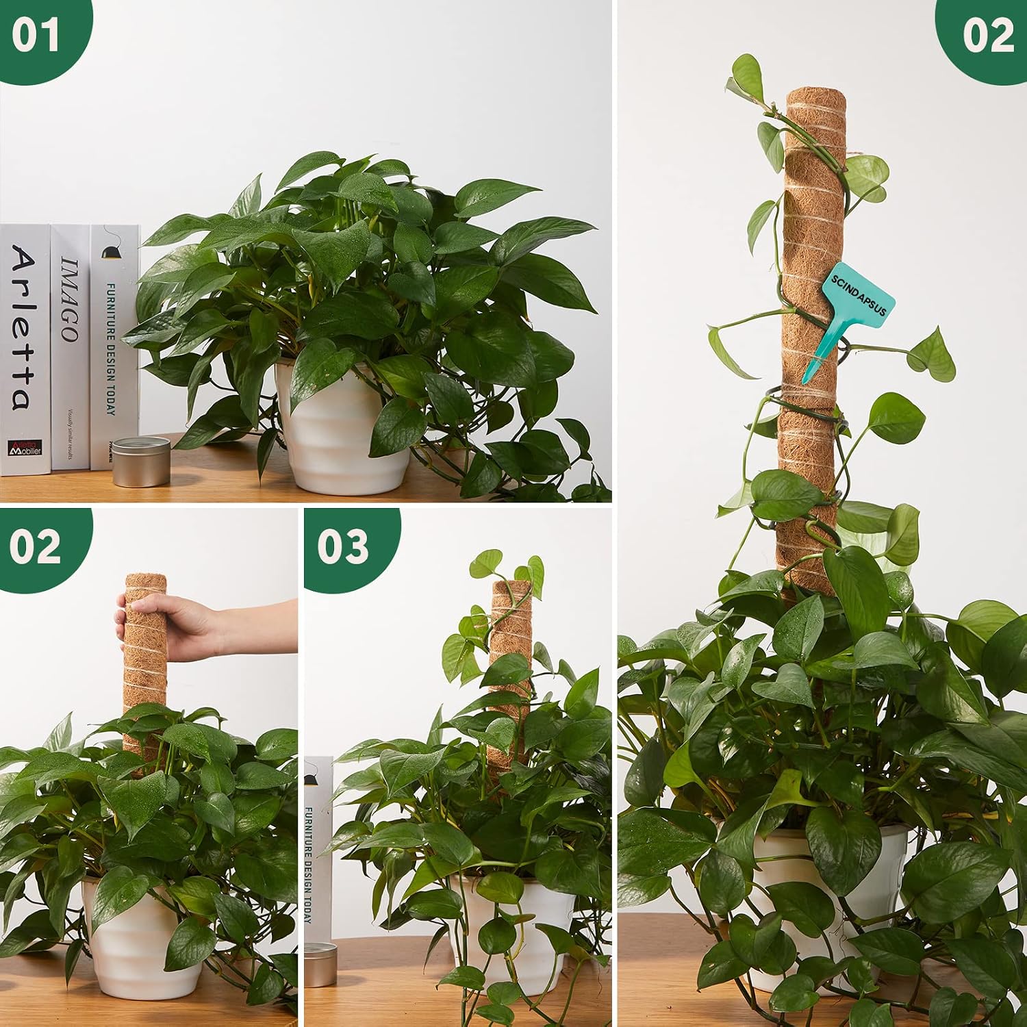 10 Pack Moss Pole, 112 Inch Coir Moss Pole for Plants Monstera, Plant Pole for Climbing Indoor Plants Potted Plants