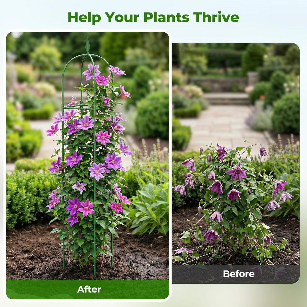 2 Pack Garden Obelisk Trellis for Climbing Plants, 6 FT Metal Rustproof Plant Support Rose Trellis, Tower Potted Cages
