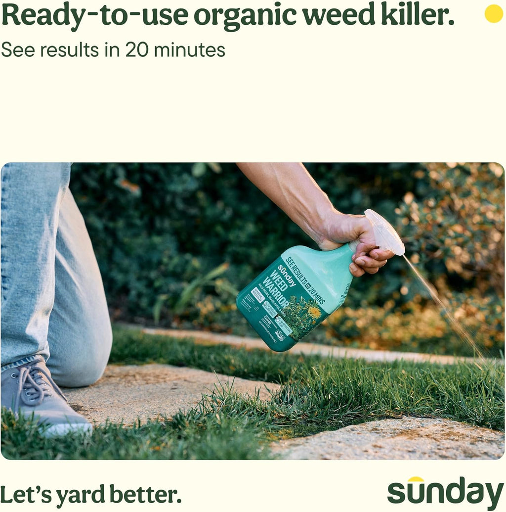 Sunday Pre & Post-Emergent Lawn Weed Killer & Greening Kit, 32oz 2-Pack | Organic Weed Warrior Kills Crabgrass