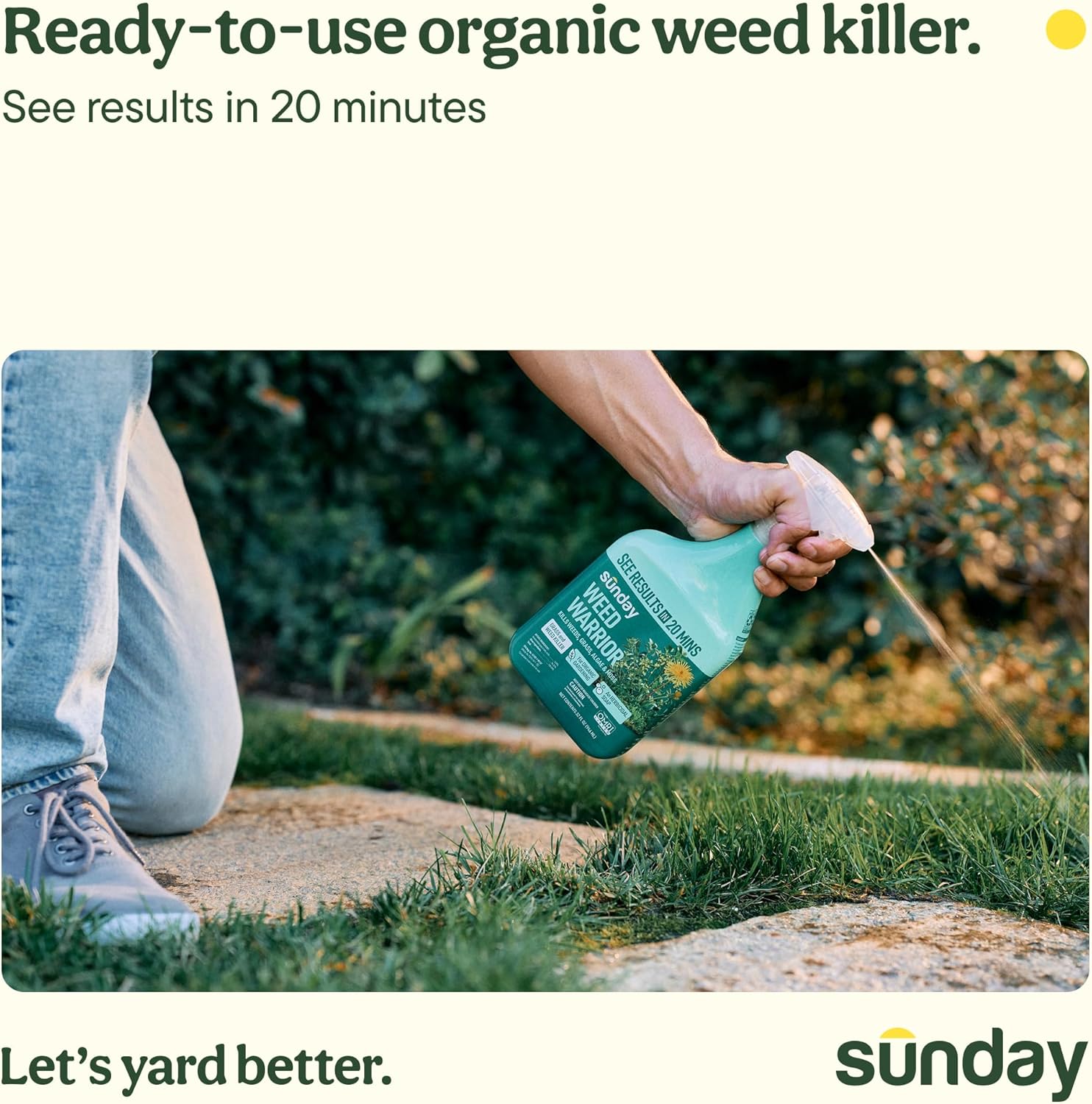 Sunday Pre & Post-Emergent Lawn Weed Killer & Greening Kit, 32oz 2-Pack | Organic Weed Warrior Kills Crabgrass