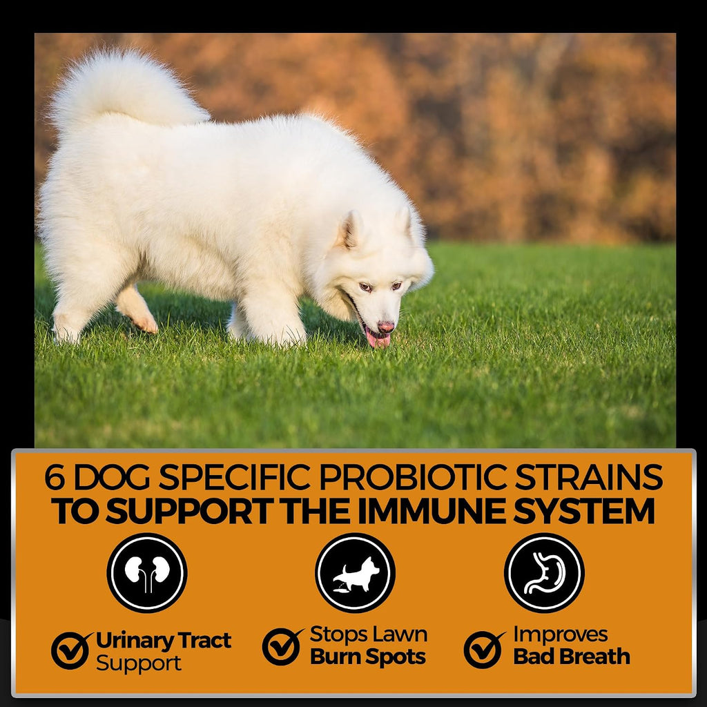 Pet Chef Dog Urine Neutralizer for Lawn Grass Burn Spot Saver Soft Chews Helps Reduce Yellow Spots & Protect Yard