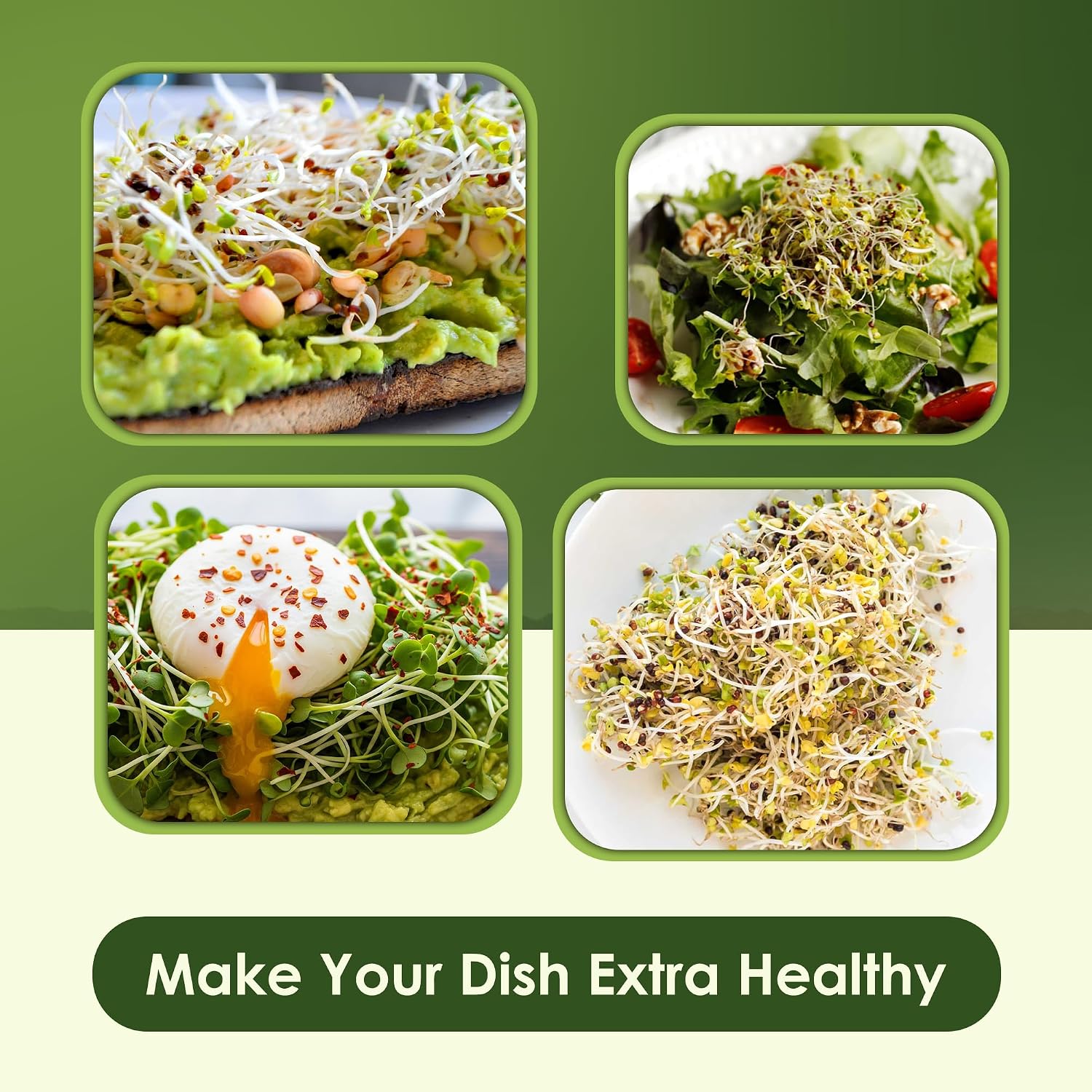 Nature Jims Organic Broccoli Sprout Seeds and Organic Salad Mix Seeds, Microgreens Variety for Healthy Indoor or