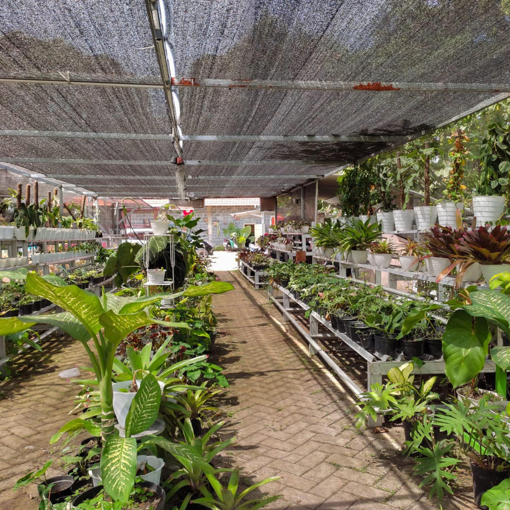 VICLLAX 50% Black Garden Shade Fabric Sun Shade Cloth - UV Protection Sun Shade Cover for Plants, Outdoor, Greenhouse &