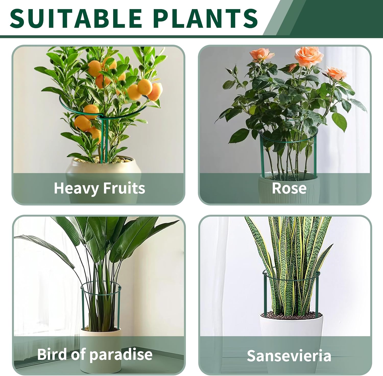 10 Pack Peony Cages and Supports, 10" (W) x 24"(H) Plant Support, Heavy-Duty Metal Plant Support Stakes, Plant Stakes