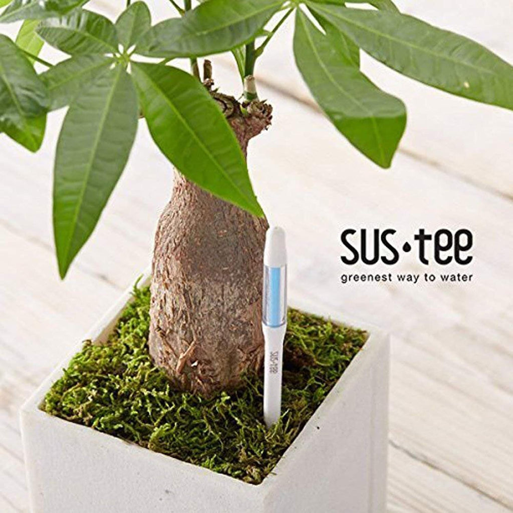 IPPINKA Sustee Aquameter, White, Small, Bundle of 12, Soil Moisture Meter for Potted Plants - Plant Water Sensor