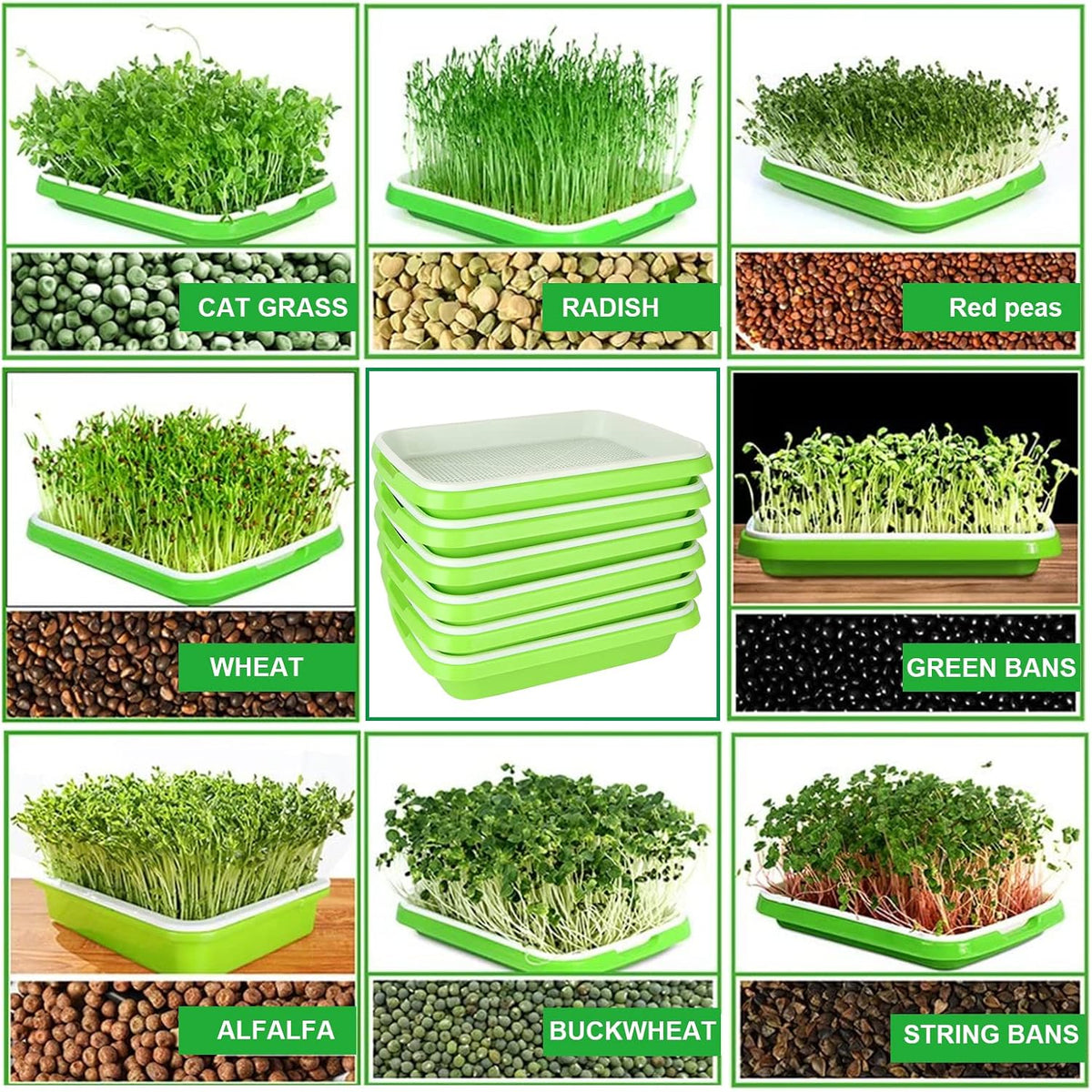 SHUESS 6 Pack Seed Sprouting Tray with Drain Holes BPA Free Nursery Tray Microgreens Growing Trays Wheatgrass Grower