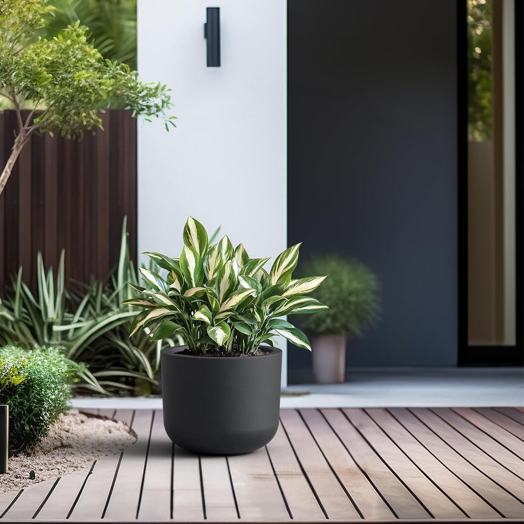 Kante Small Round Capsule Black Concrete Planter 9" Dia, Outdoor | Rubber Plug for Indoor, Drainage for Garden