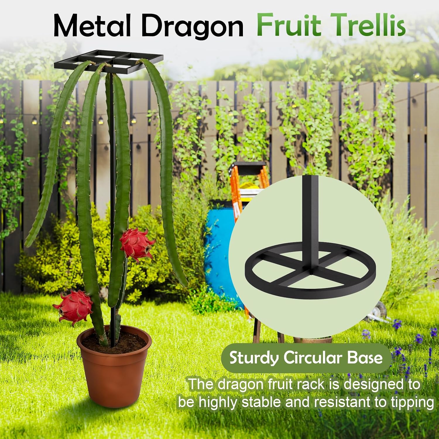 2 Pcs Dragon Fruit Trellis for Climbing Plants, Adjustable Metal Plant Trellis, Outdoor & Indoor Garden Trellis for