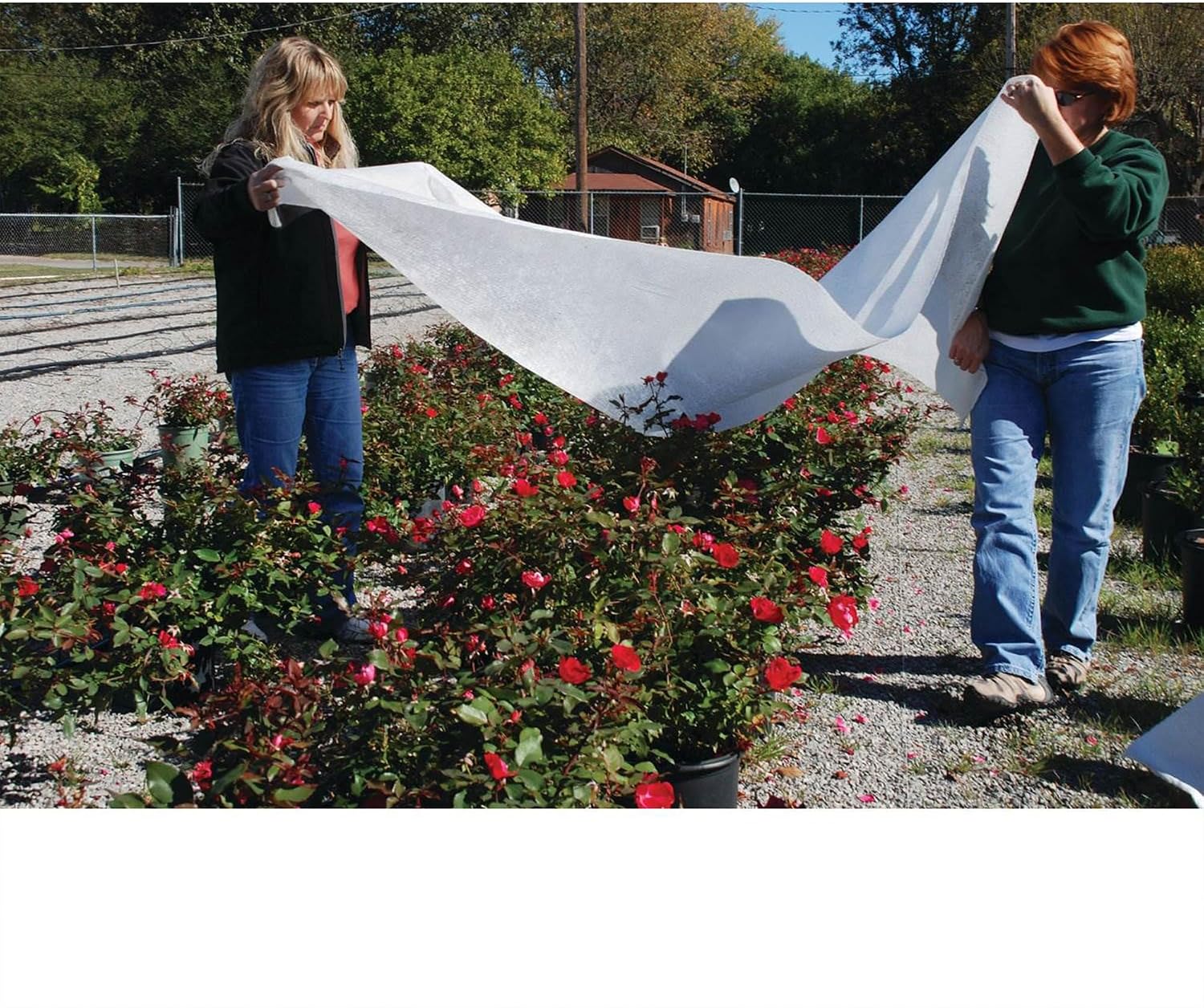 DeWitt Supreme Crop Protection Fabric, 1.5 oz, White, 6' x 50' - Frost & Freeze Blanket for Flowering Annuals