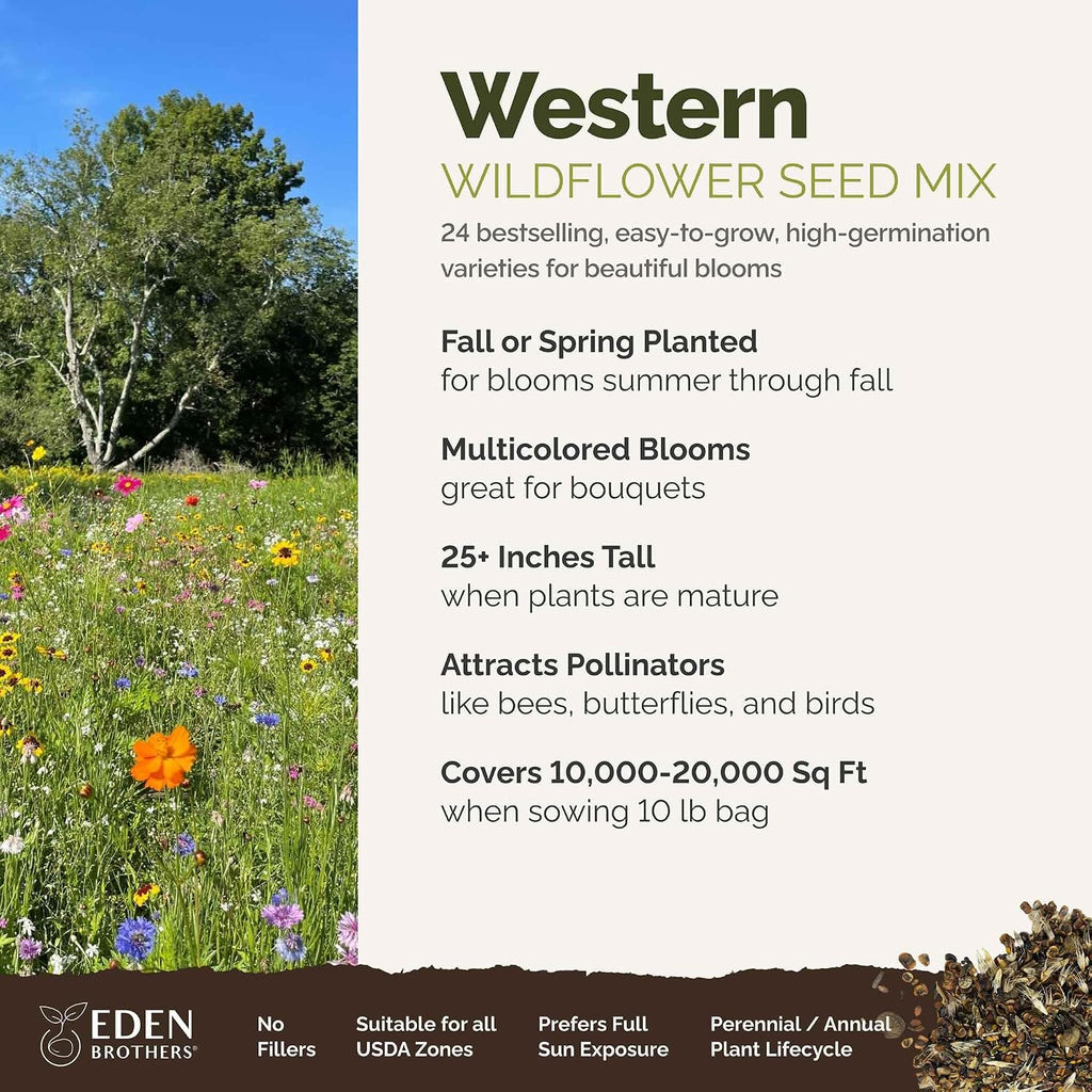 Eden Brothers Western Wildflower Mixed Seeds for Planting, 10 lb, 4,800,000+ Seeds with Cornflower, Blanket Flower