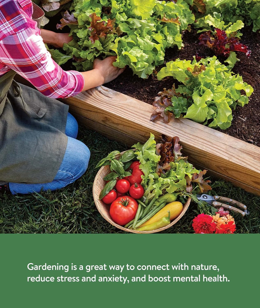 Burpee Garden Sown Flower, Herb & Vegetable 10 Packs of Non-GMO Basil, Lettuce, Cucumber, Radish, Spinach, Kale