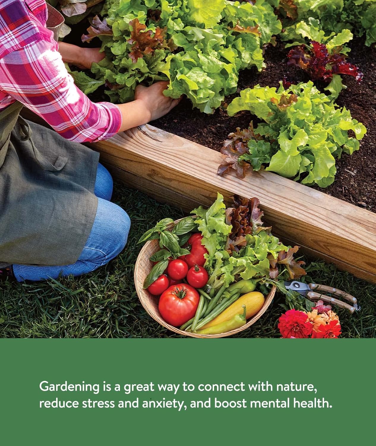 Burpee Garden Sown Flower, Herb & Vegetable 10 Packs of Non-GMO Basil, Lettuce, Cucumber, Radish, Spinach, Kale
