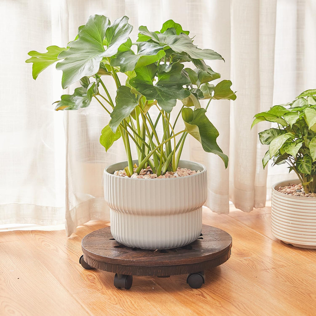 Wooden Plant Stand with Wheels, Rolling Planter Caddy, Heavy Duty | Built‑in Drip Tray,No Assembly Required,Lockable