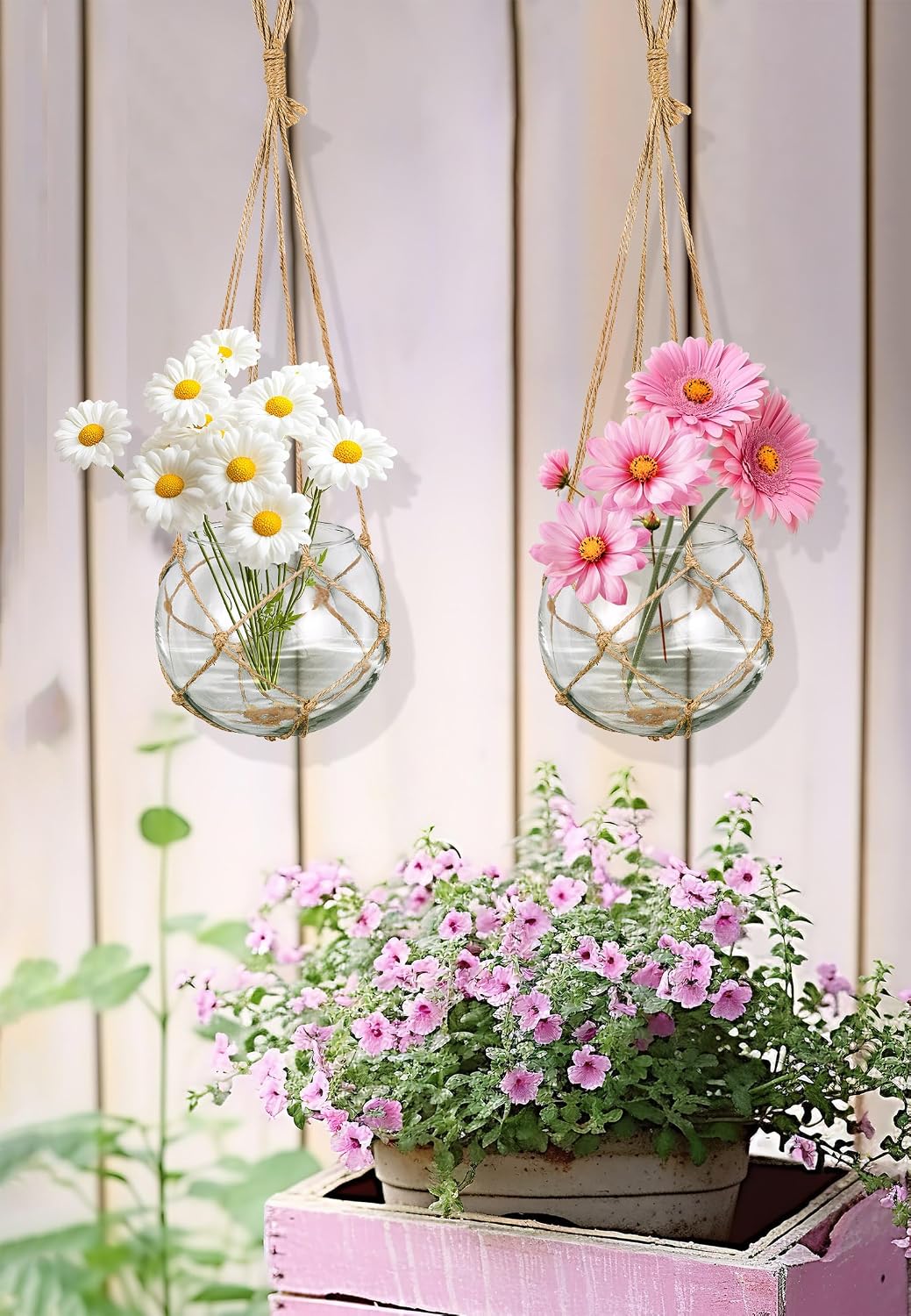 SAILINGSTORY Hanging Glass Plant Terrarium 5" Clear Set of 2 Pack | Glass Planter, Propagation Stations, Flower Vase