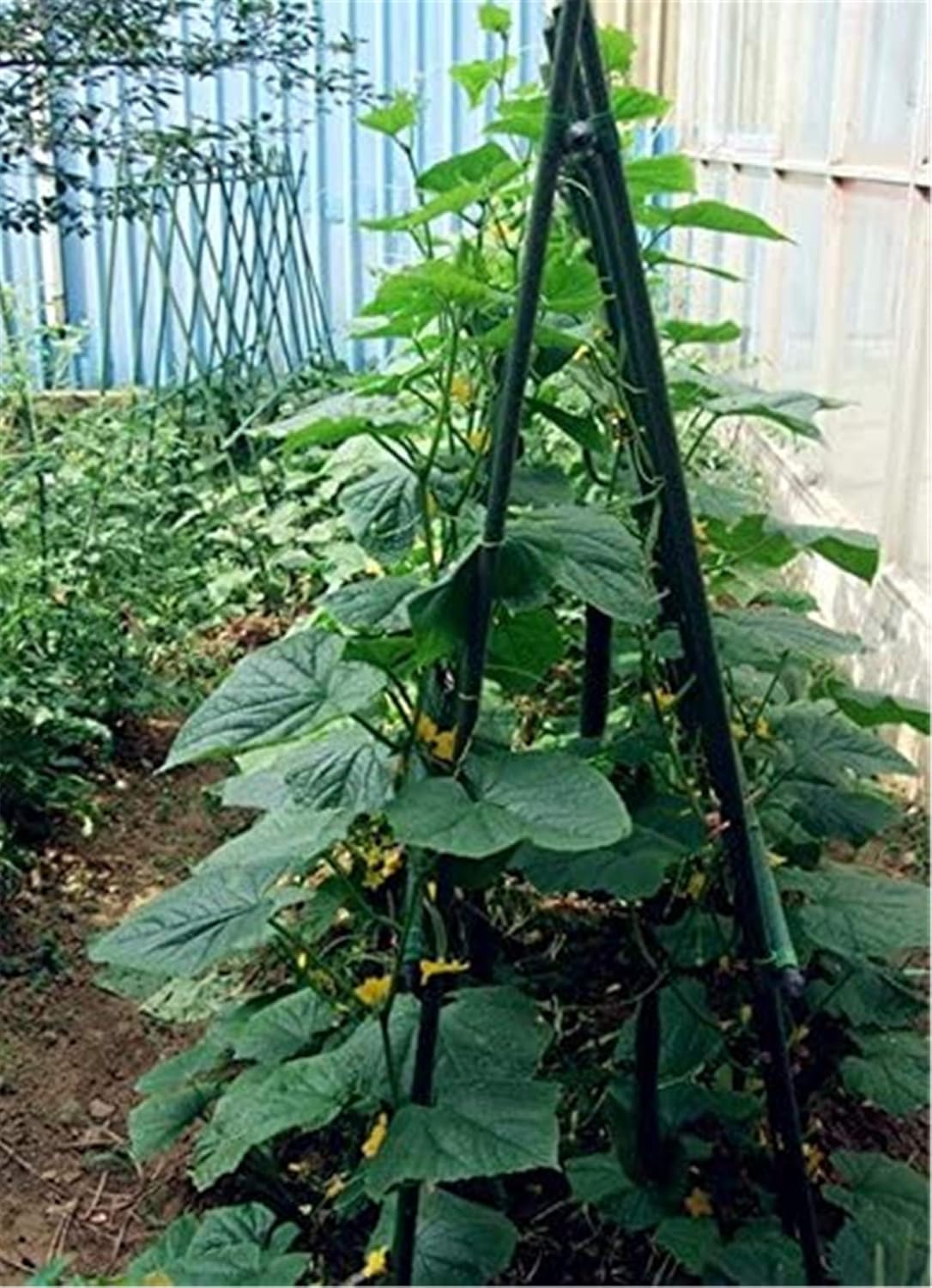 Garden Stakes 48 Inches Steel Plant Stakes Tomato Stakes 4ft Pack of 25