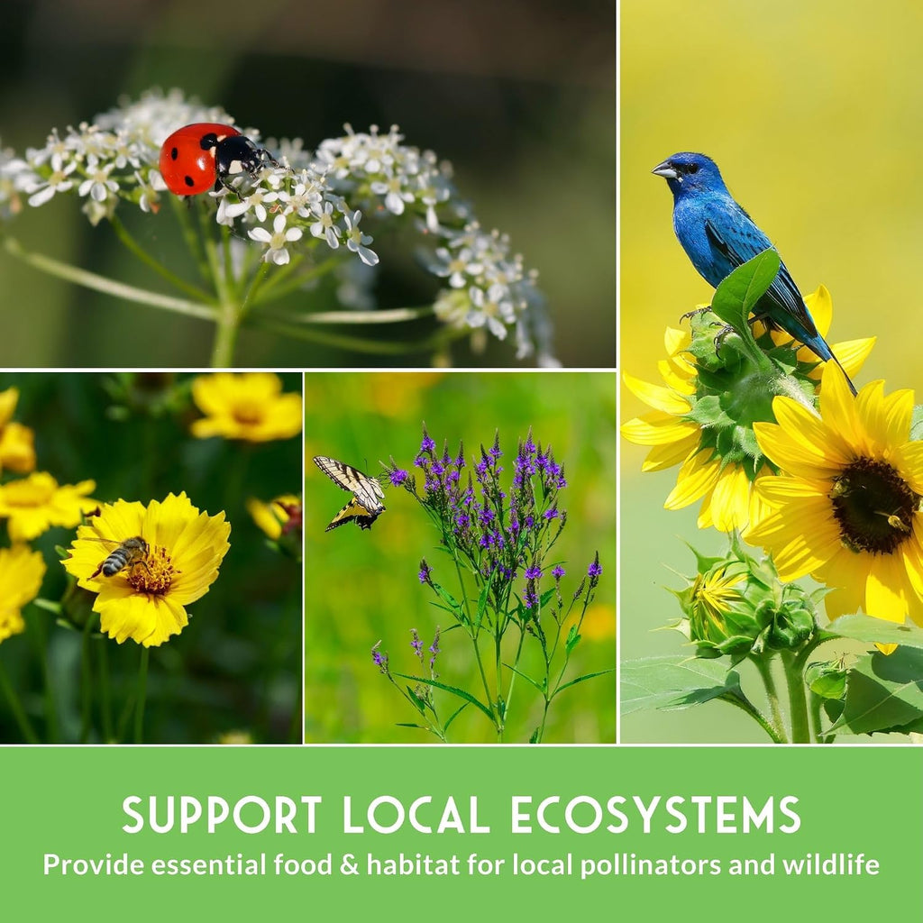 American Wildflower Seeds for Planting - 24 Variety Pack of Native Plants | Native Flowers + Bunchgrasses for Butterfly