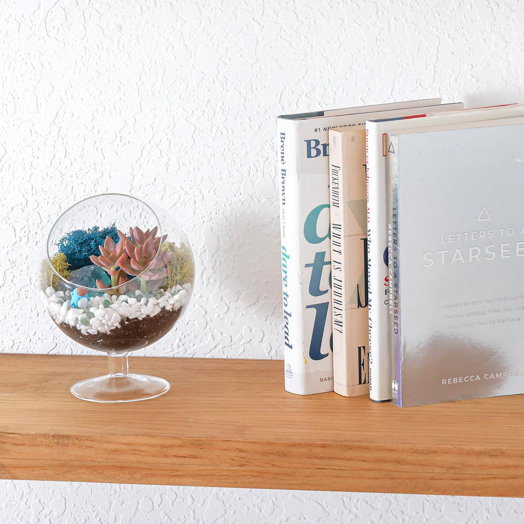 Creations by Nathalie DIY 6" Chalice Terrarium Kit Build Your Own Glass Terrarium for Adults & Teens, DIY Terrarium Kit