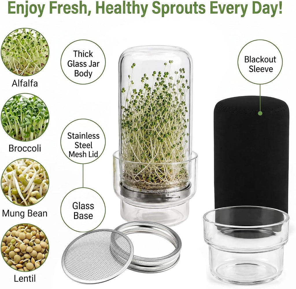 Sprouting Jar Kit – Maeyova 2-Pack Mason Jars with Stainless Steel Mesh Lids, Glass Base, Cover & Brush – Seed Sprouter