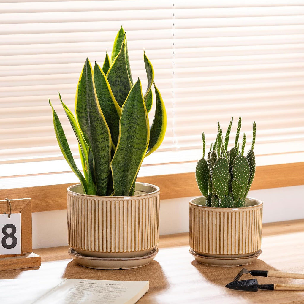 SURE YUESI Ceramic Plant Pots Set of 3, Indoor Outdoor Planters with Drainage Hole and Saucer, Ceramic Flower Pots for