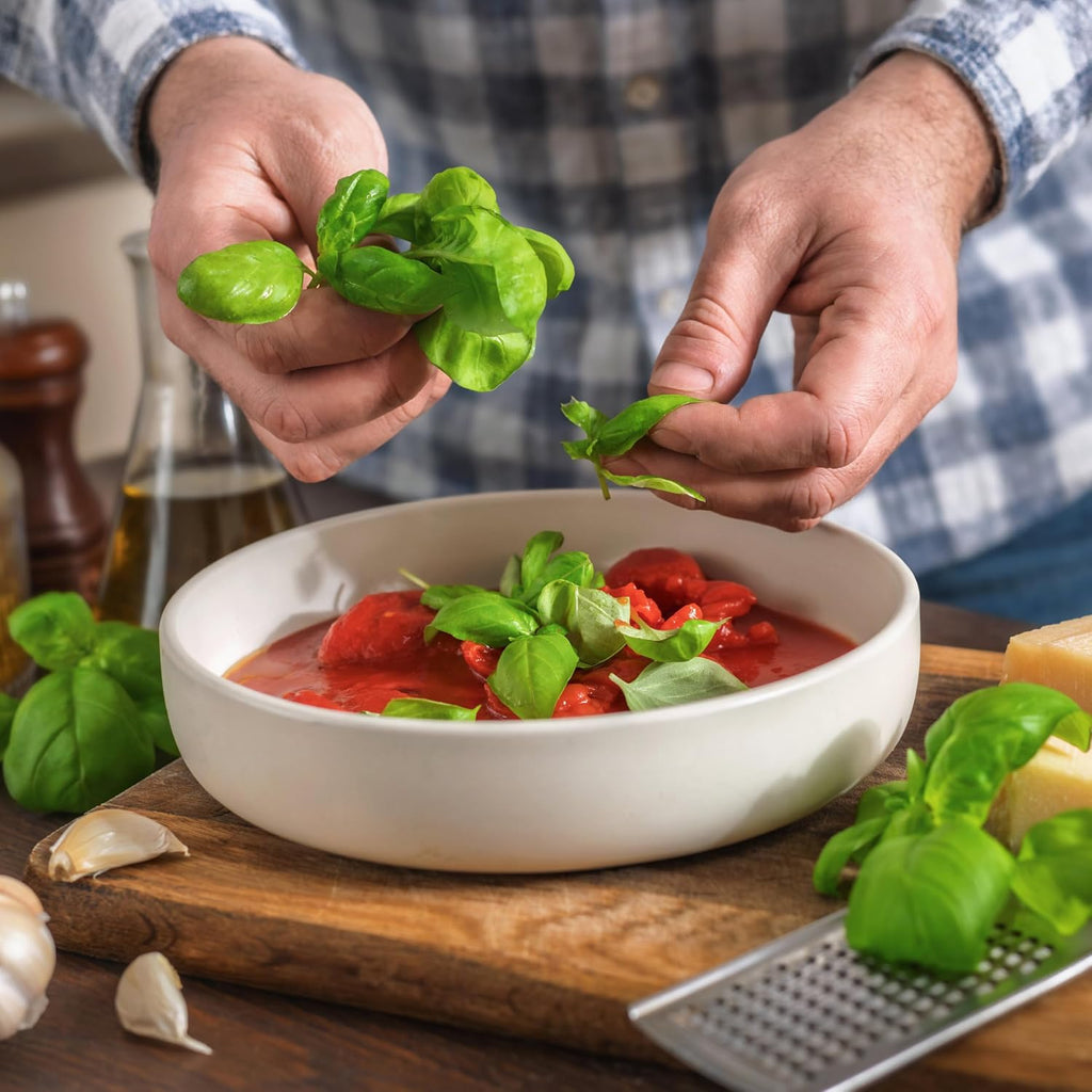 Seed Needs Italian Basil Seeds to Plant Heirloom Non-GMO Herbs 10 Pack