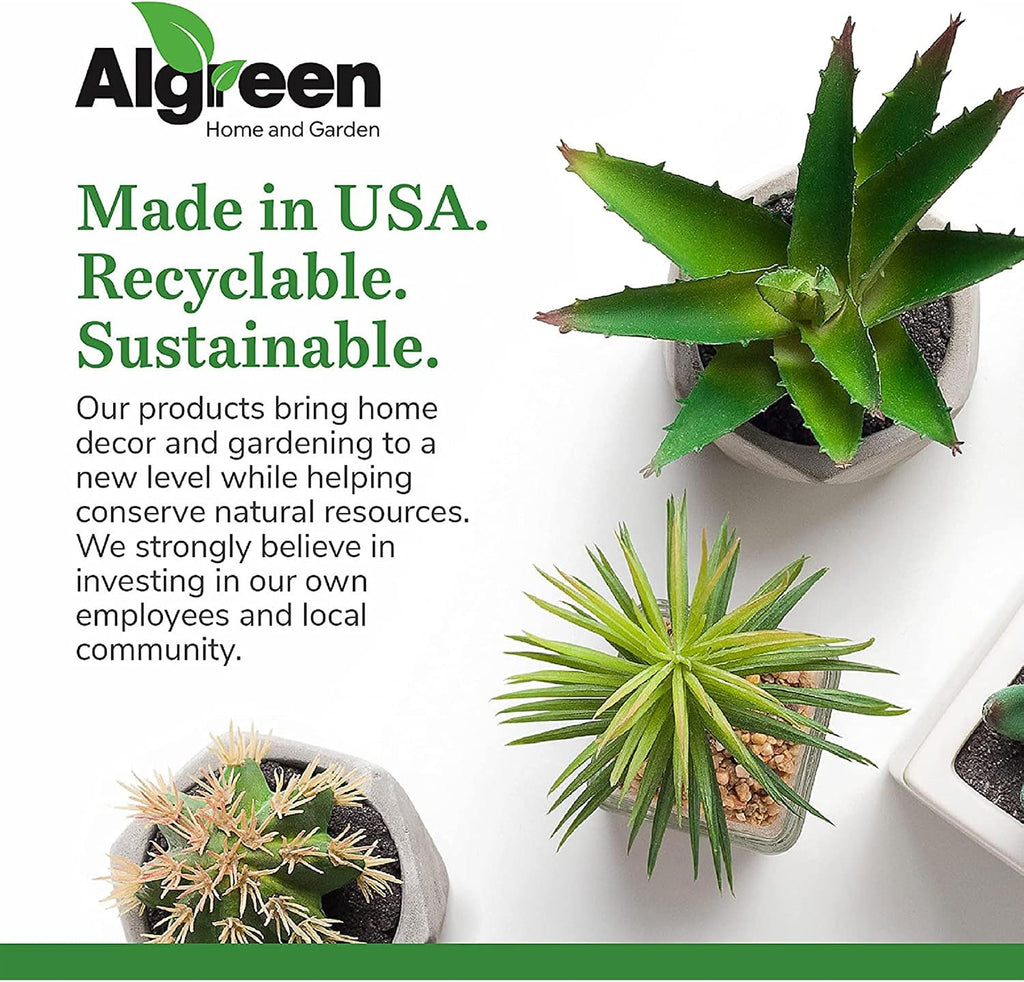 Algreen 43729 Acerra Weather Protected Recycled Composite Vase Planter Pot, Indoor or Outdoor use, Tall Lightweight 7