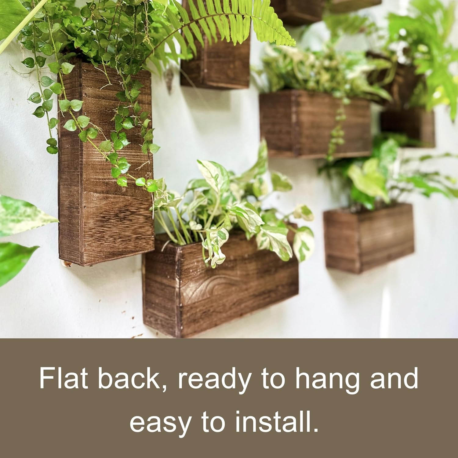 LaLaGreen Wooden Wall Planters (4 Pack) Hanging Wood Planter Box for Plants | Indoor Boxes Plant Holder Vase for Dried