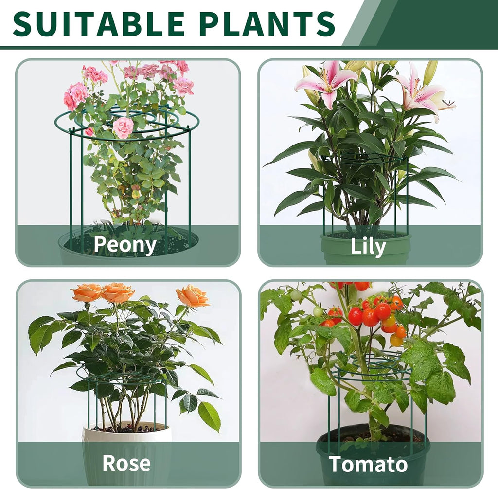 4pack Peony Cages and Supports, 18 x 24 Inch Four Legs Peony Cage, Heavy-Duty Peonies Support Cages, Peony Ring for