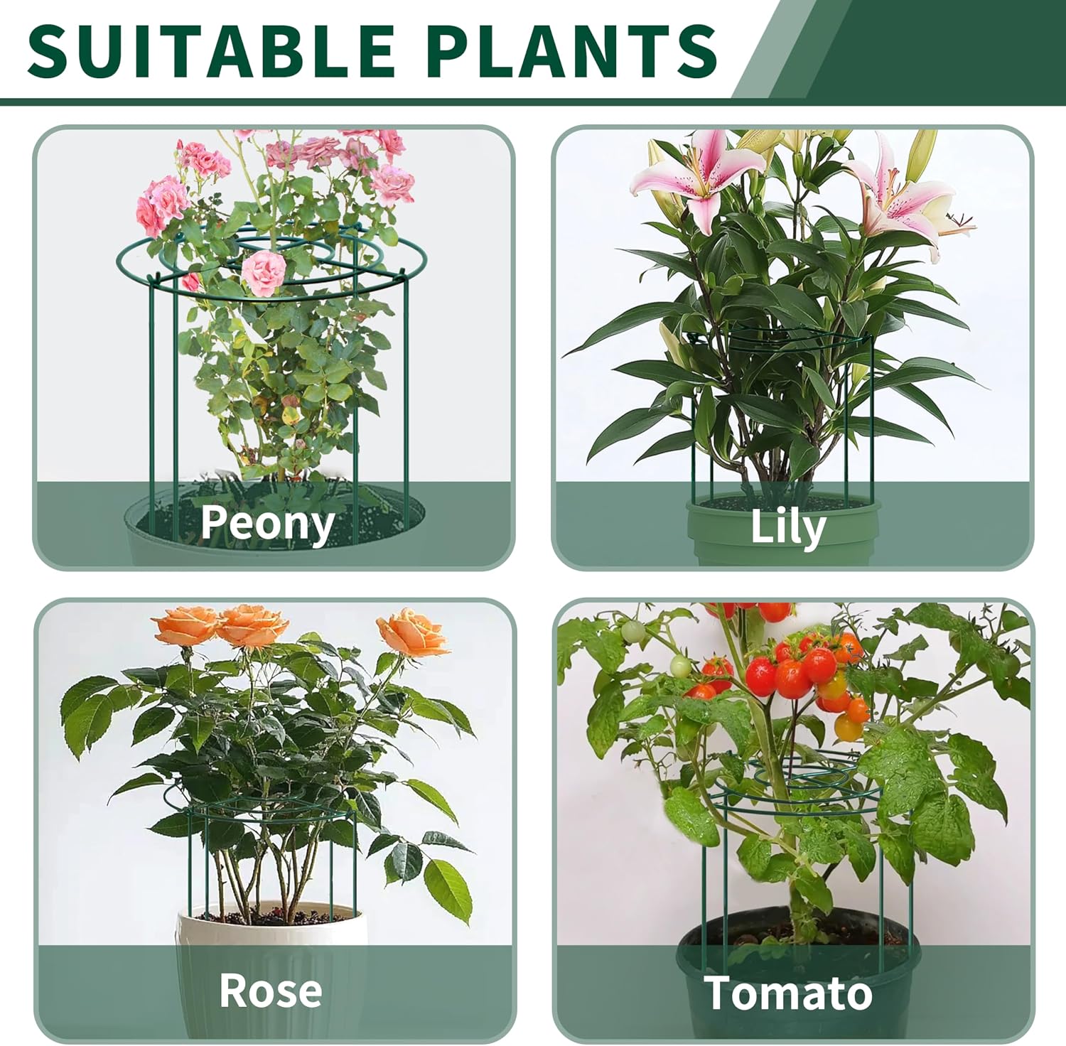 4pack Peony Cages and Supports, 18 x 24 Inch Four Legs Peony Cage, Heavy-Duty Peonies Support Cages, Peony Ring for
