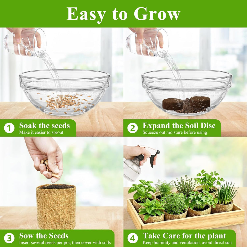 Indoor Herb Garden Kit, Culinary Herb Starter Kit with Seeds & Tools for Beginners, Kitchen Decor, House Warming Gifts