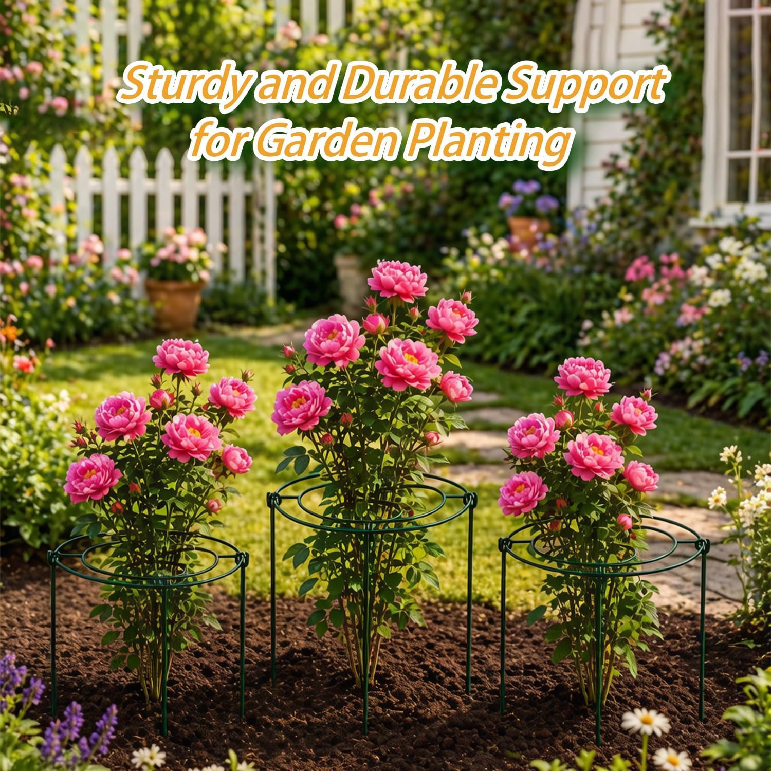 (3 Sets) Peony Cages and Supports, 16" Diameter, 4 x 24 Inches Legs, Heavy Duty Rust-Proof Grow Through Plant Support