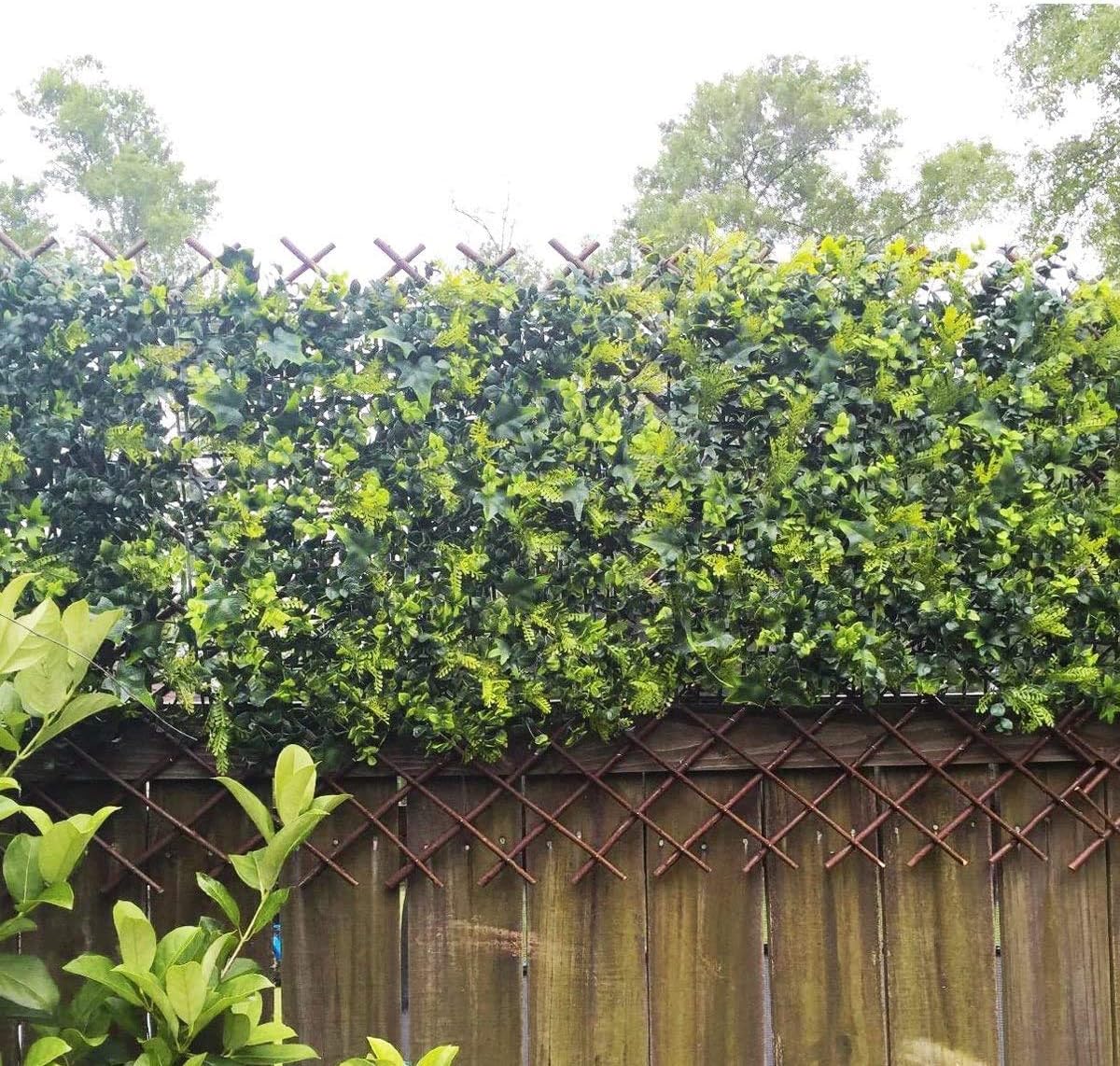 Sumery Nature Willow Trellis Expandable Plant Support Plant Climbing Lattices Trellis Willow Expandable Trellis Fence