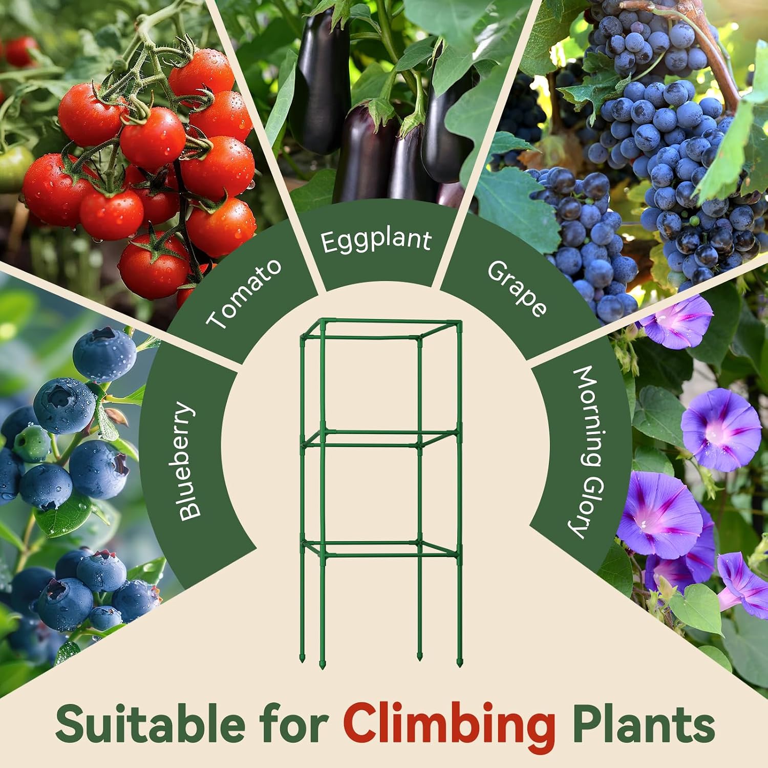 2 Pack 60" Tomato Cages for Garden, Heavy Duty Adjustable Plant Support | For Climbing Plants and Vegetables