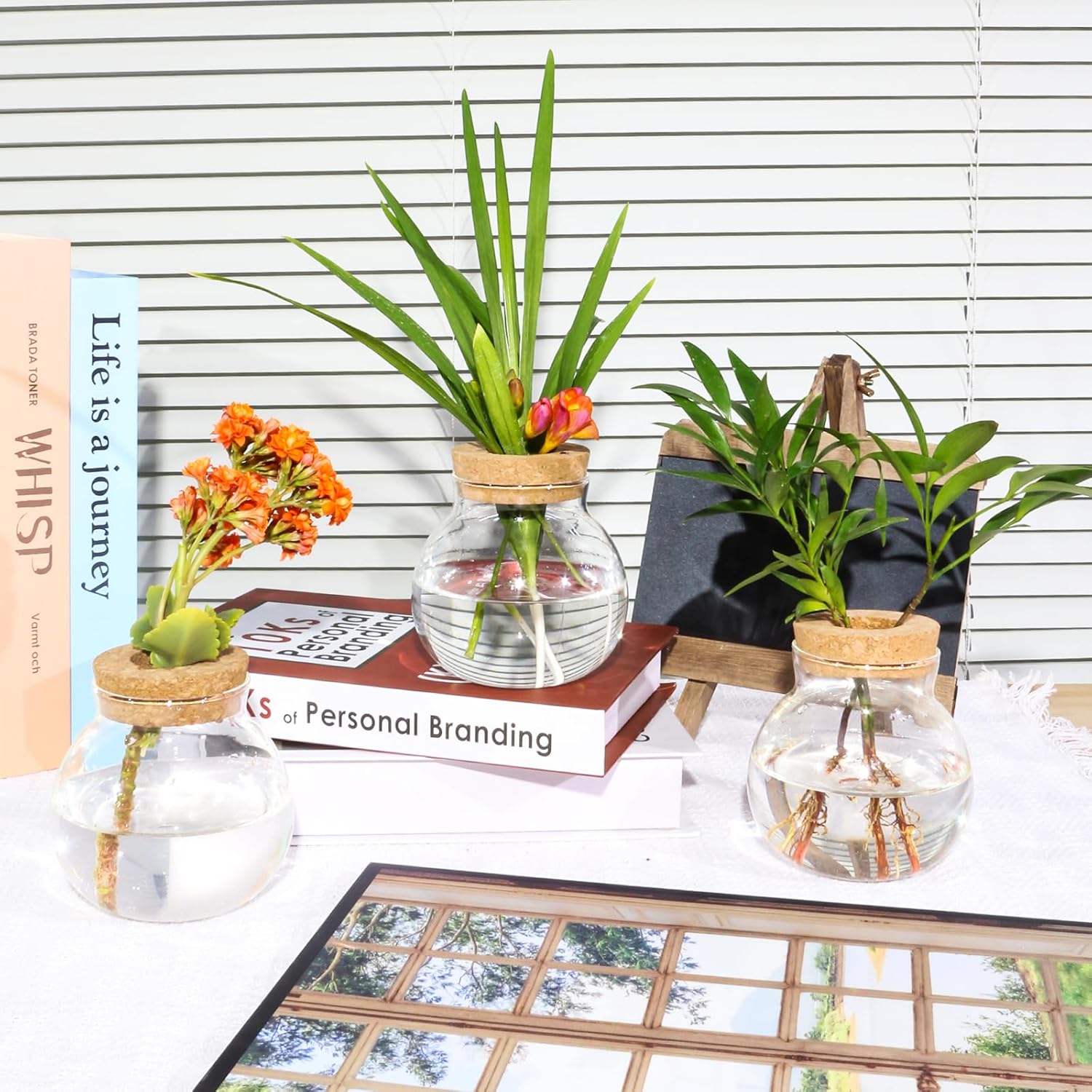 Plant Propagation Station,Hydroponic Terrarium Vase,Desktop Glass Planter Station,for Houses,Garden
