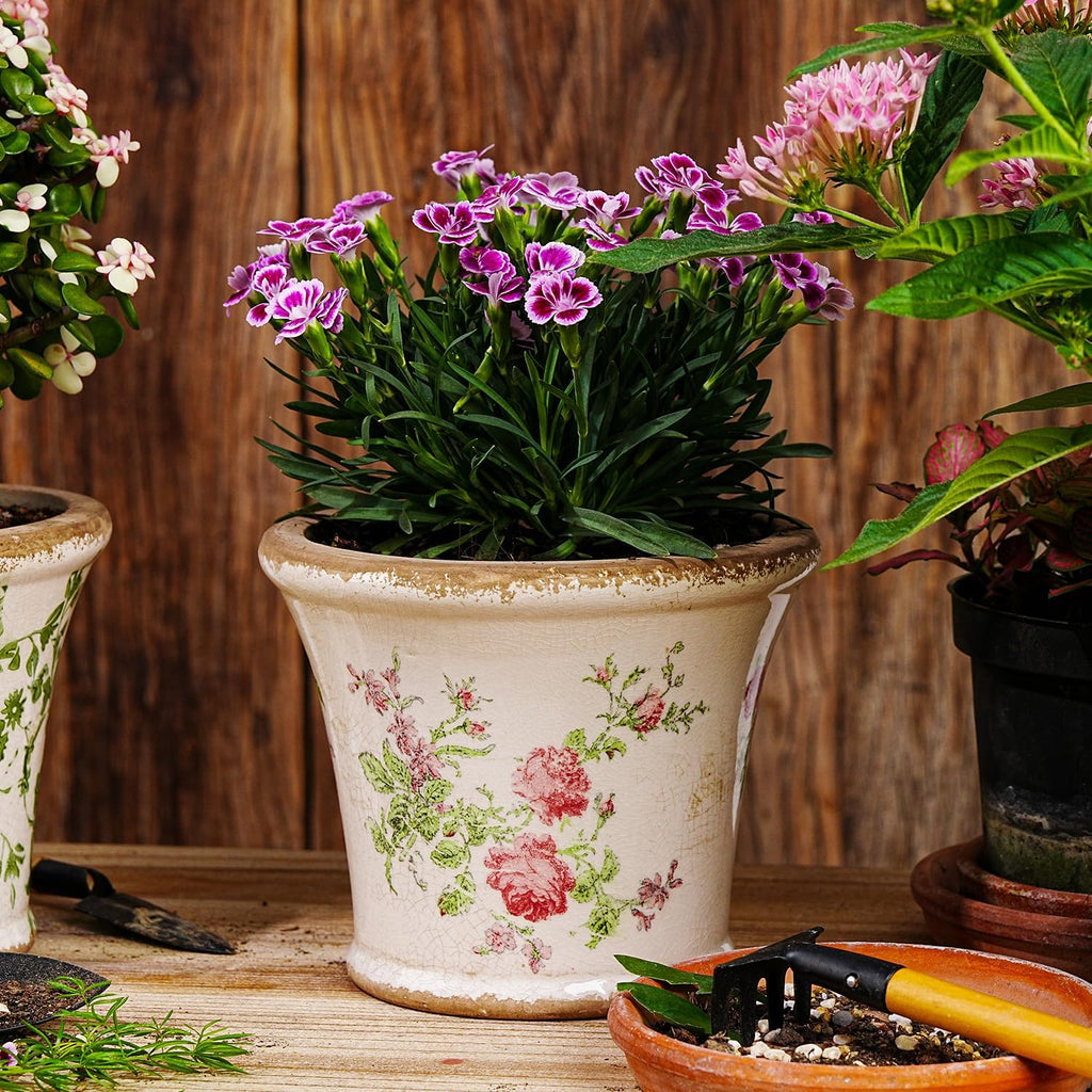 Sungmor Ceramic Flower Pots - 2 Pack, Crackle Glaze & Floral Prints Design | Rustic Farmhouse Planters with Drainage