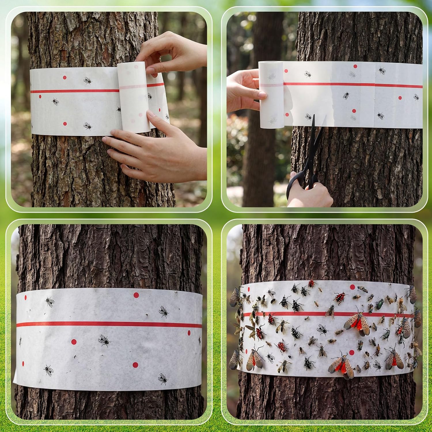 12 Rolls Spotted Lantern Fly Tree Trap 30 Feet Each Roll Lanternfly Tree Outdoor Fruit Fly Sticky Strips Paper Insect