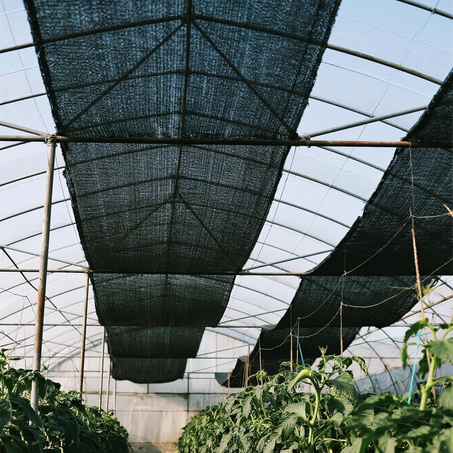 winemana 6x120 FT Outdoor Shade Cloth for Garden & Plants - 50% Large Black Mesh Tarp, UV Resistant Woven Shade Fabric