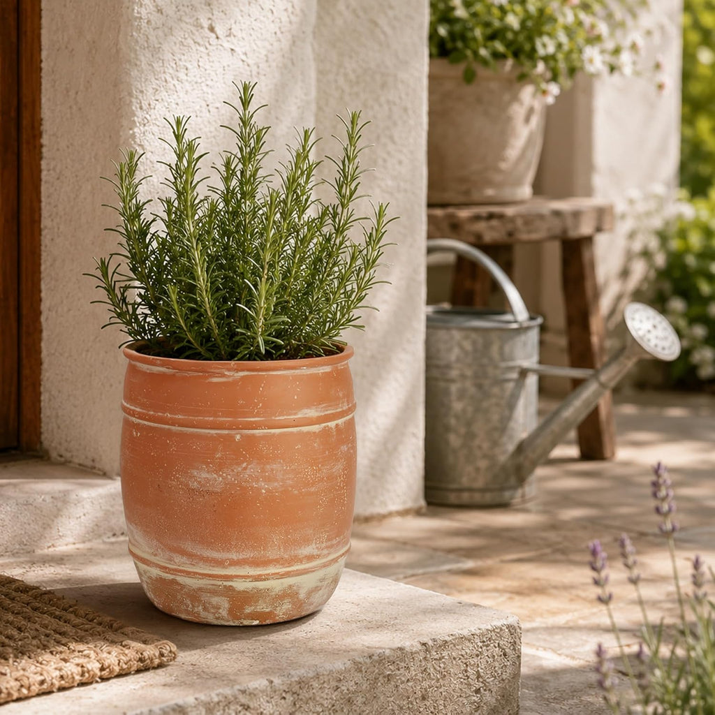 11"H x 9.5" Dia Aged Terracotta Clay Planter Pot with Drainage Hole, Rustic Farmhouse Style Flower Pot with Distressed