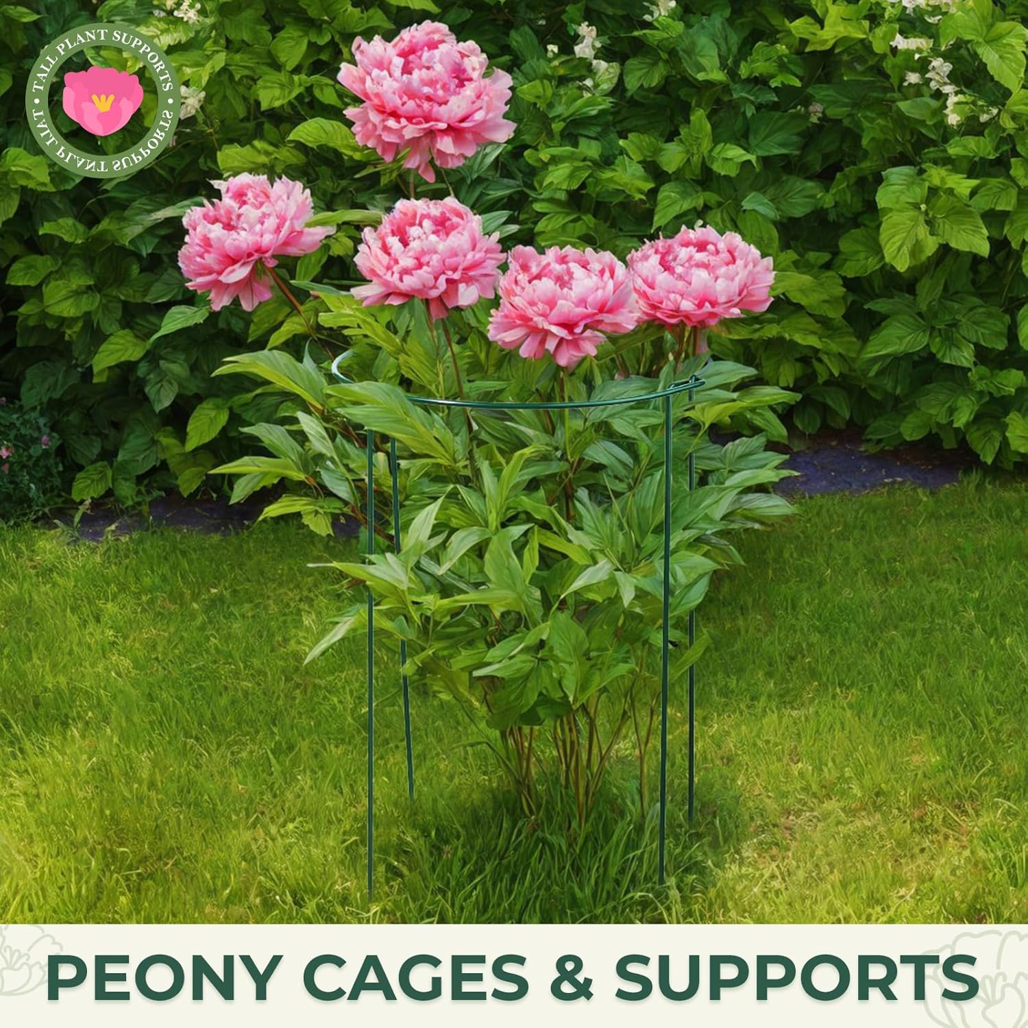 LEOBRO Plant Support, 8 PCS Peony Cages and Supports, Metal Plant Stakes, Plant Supports for Indoor Plants, Outdoor
