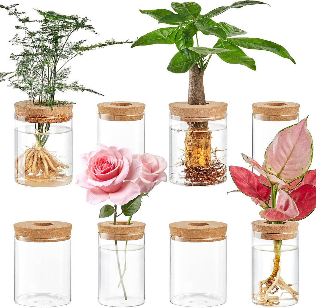 8 Pack Glass Propagation Vases, 2 Sizes Plant Propagation Station | with Cork Lids, Clear Hydroponic Rooting Jars for
