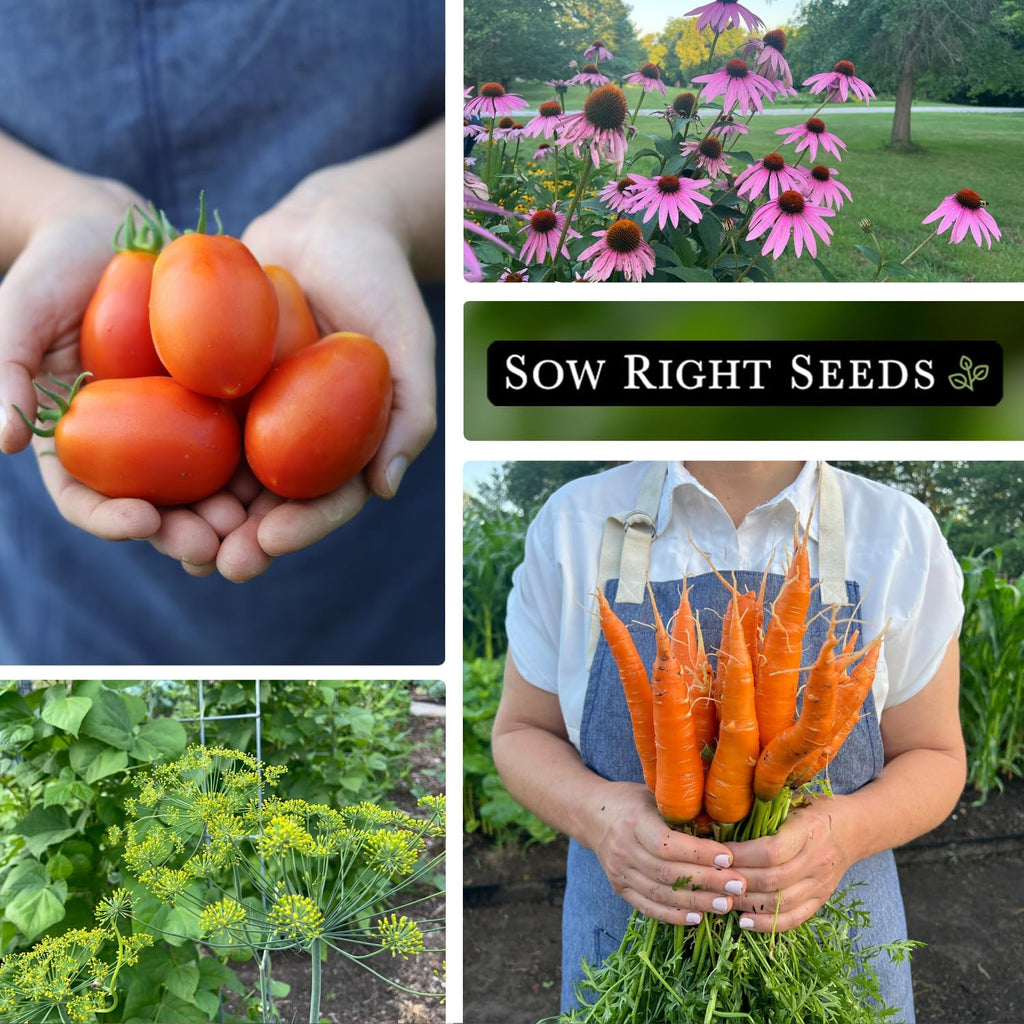 Sow Right Seeds - Complete Garden Seed Collection for Planting at Home | Includes vegetables, herbs, and flowers. Plant