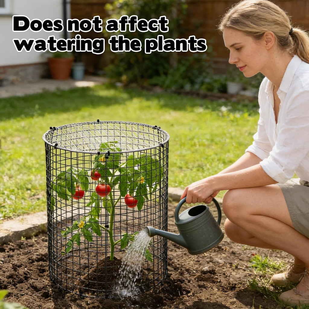 10 Sets 12"x 12" Garden Plant Protectors from Animals with Detachable Covers Metal Plant Cage Chicken Wire Cloche with