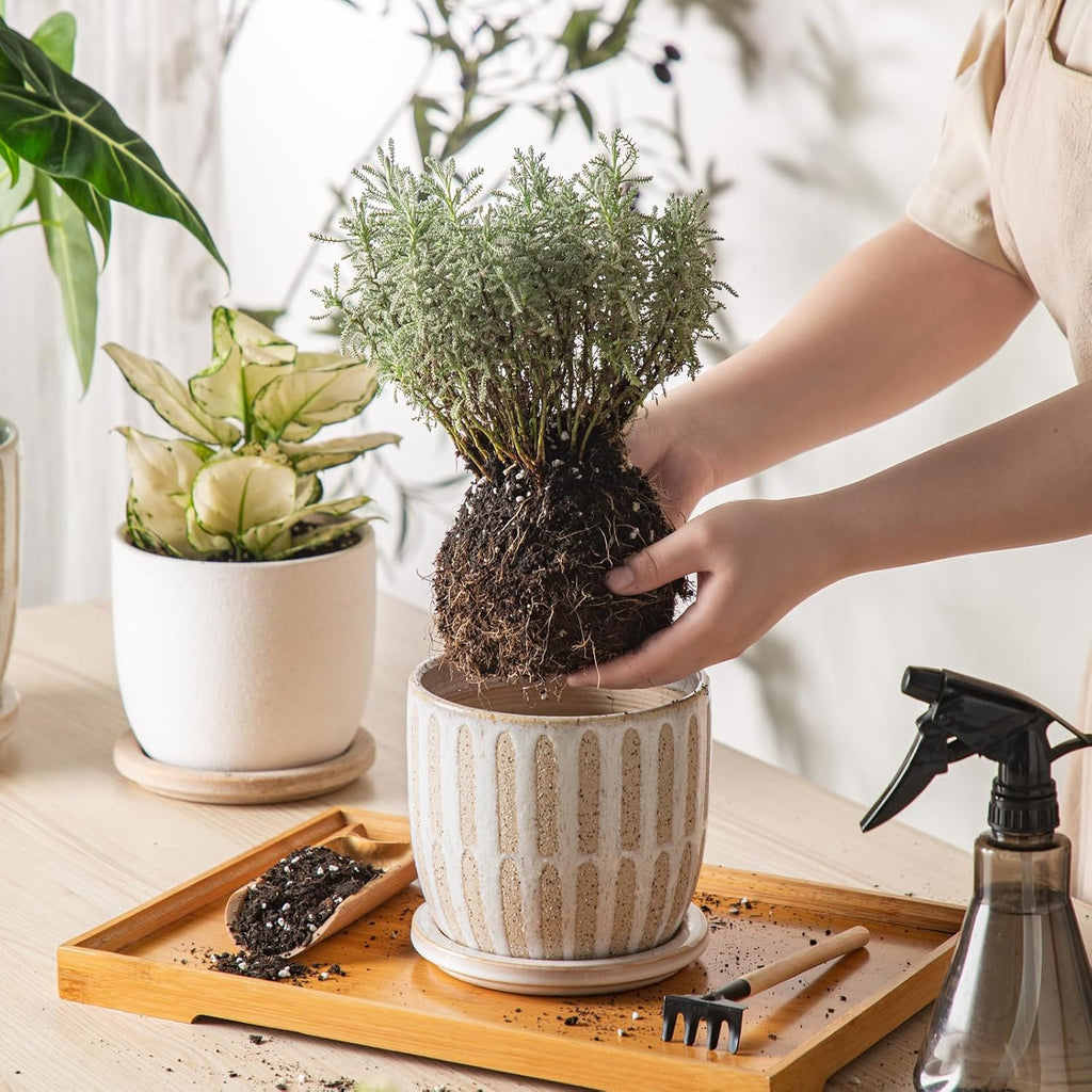 Ceramic Flower Pots Indoor-Outdoor: 5.75 Inch Planters with Drainage Holes & Saucer - Modern Decorative Plant Pots