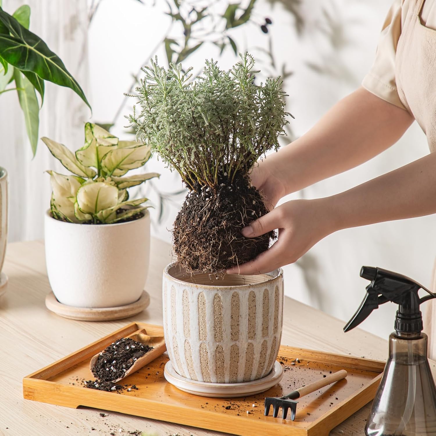 Ceramic Flower Pots Indoor-Outdoor: 5.75 Inch Planters with Drainage Holes & Saucer - Modern Decorative Plant Pots