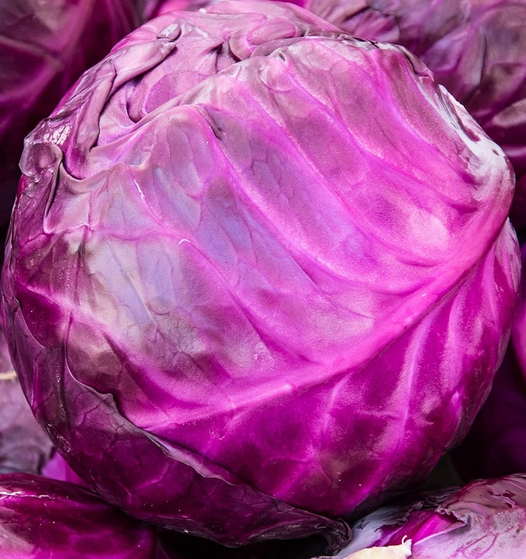 Cabbage Seeds for Planting - Plant & Grow Heirloom Cabbage Varieties Home Outdoor Garden – Easy Grow Planting Packet